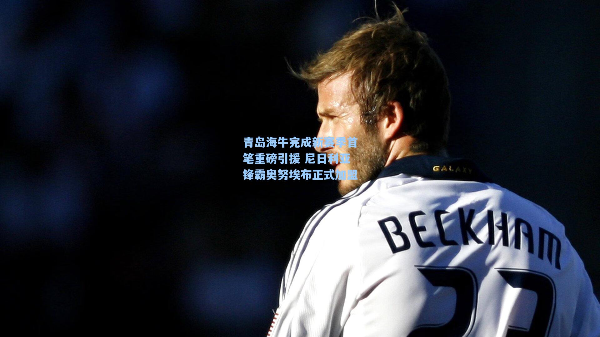 青岛海牛完成新赛季首笔重磅引援 尼日利亚锋霸奥努埃布正式加盟