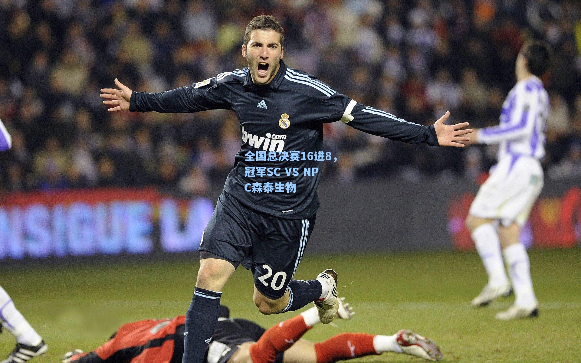 全国总决赛16进8，冠军SC VS NPC森泰生物